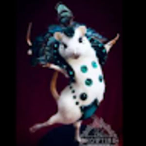 Meet your Posher, Walmart